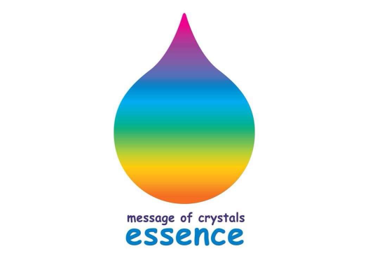 「essence」の先生